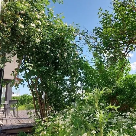 Blau Am Nellenbach - A73624